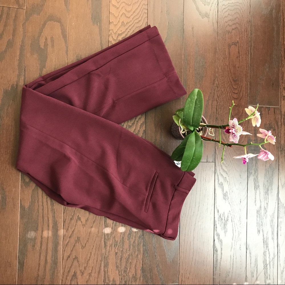 Burgundy Slacks