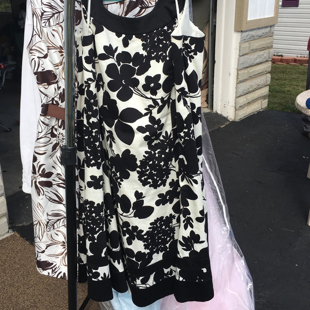 Jones Studio from Dressbarn size 20W