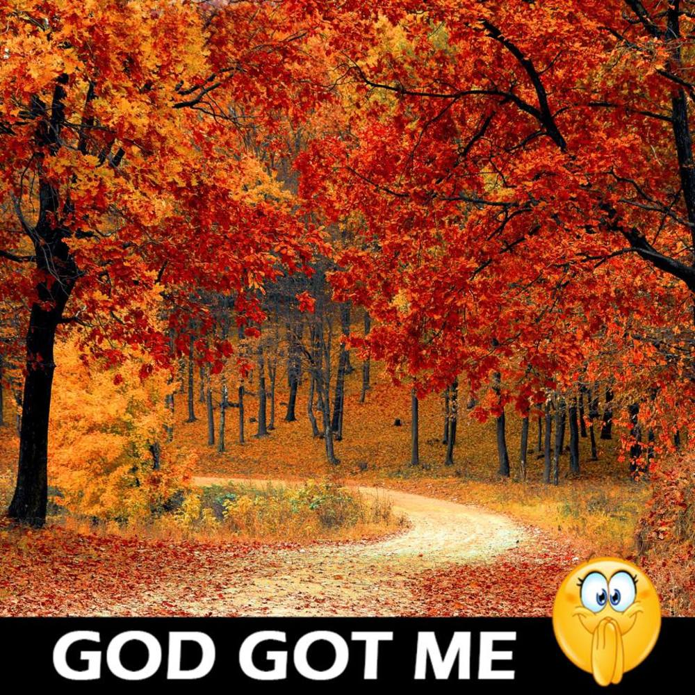 Meet your Posher, Rana