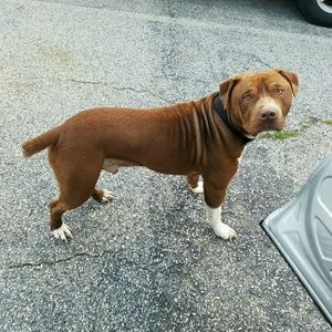 Meet your Posher, Krissy