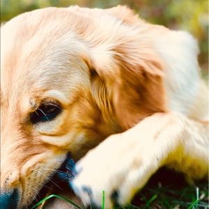 Meet your Posher, Tang