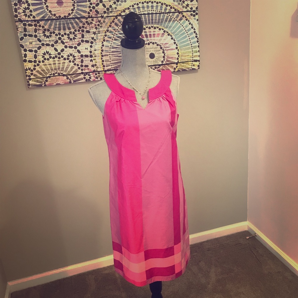 Ann Taylor Loft  Dress Pink Size 6 silk shift new