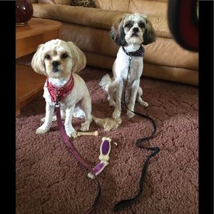 Meet your Posher, Vern