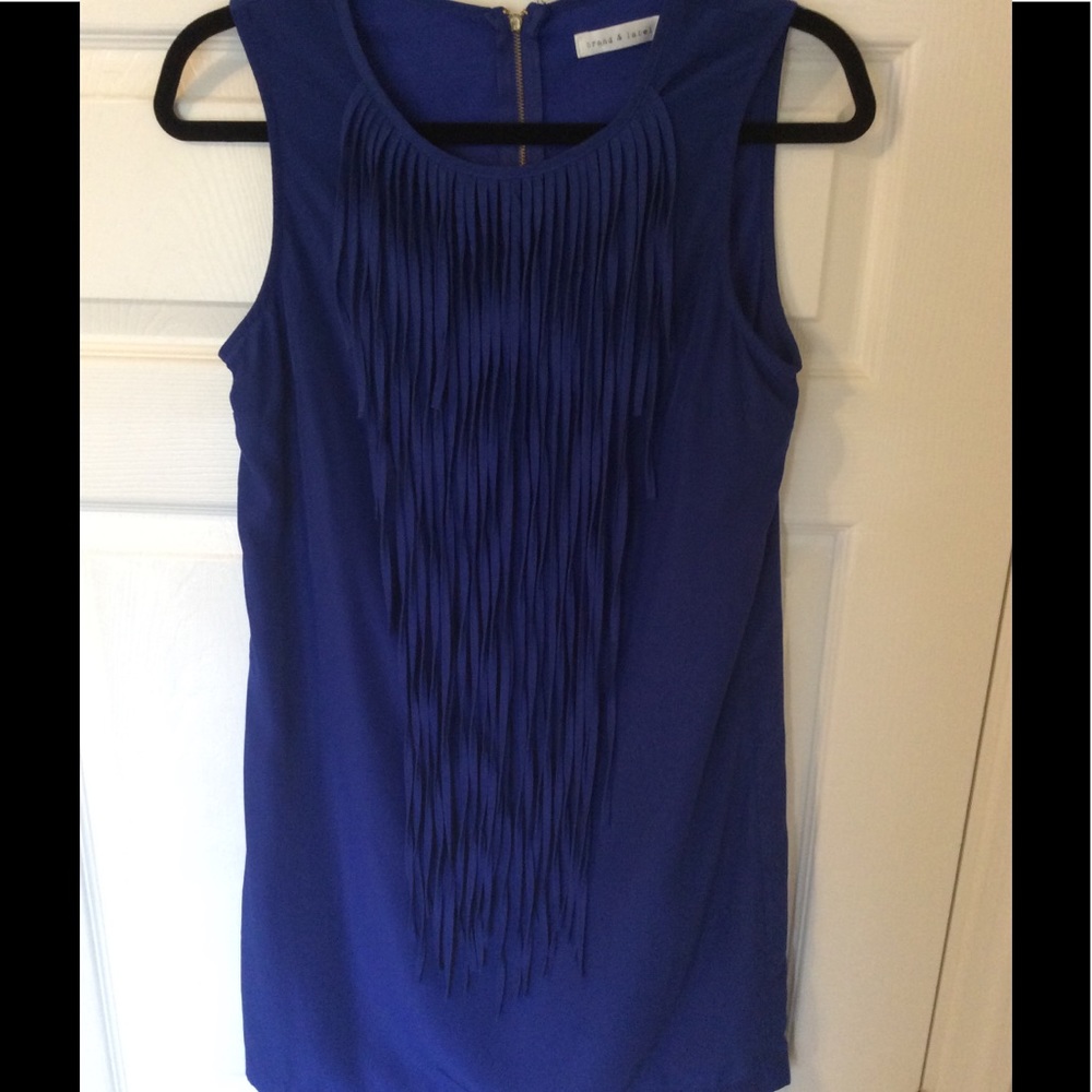 Blue Fringe Dress