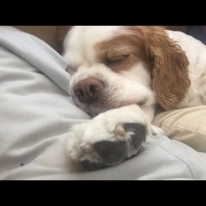 Meet your Posher, Miranda