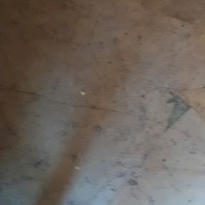 Meet your Posher, Larry