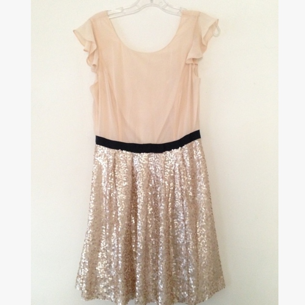 Sparkly chiffon sequin New Years dress!