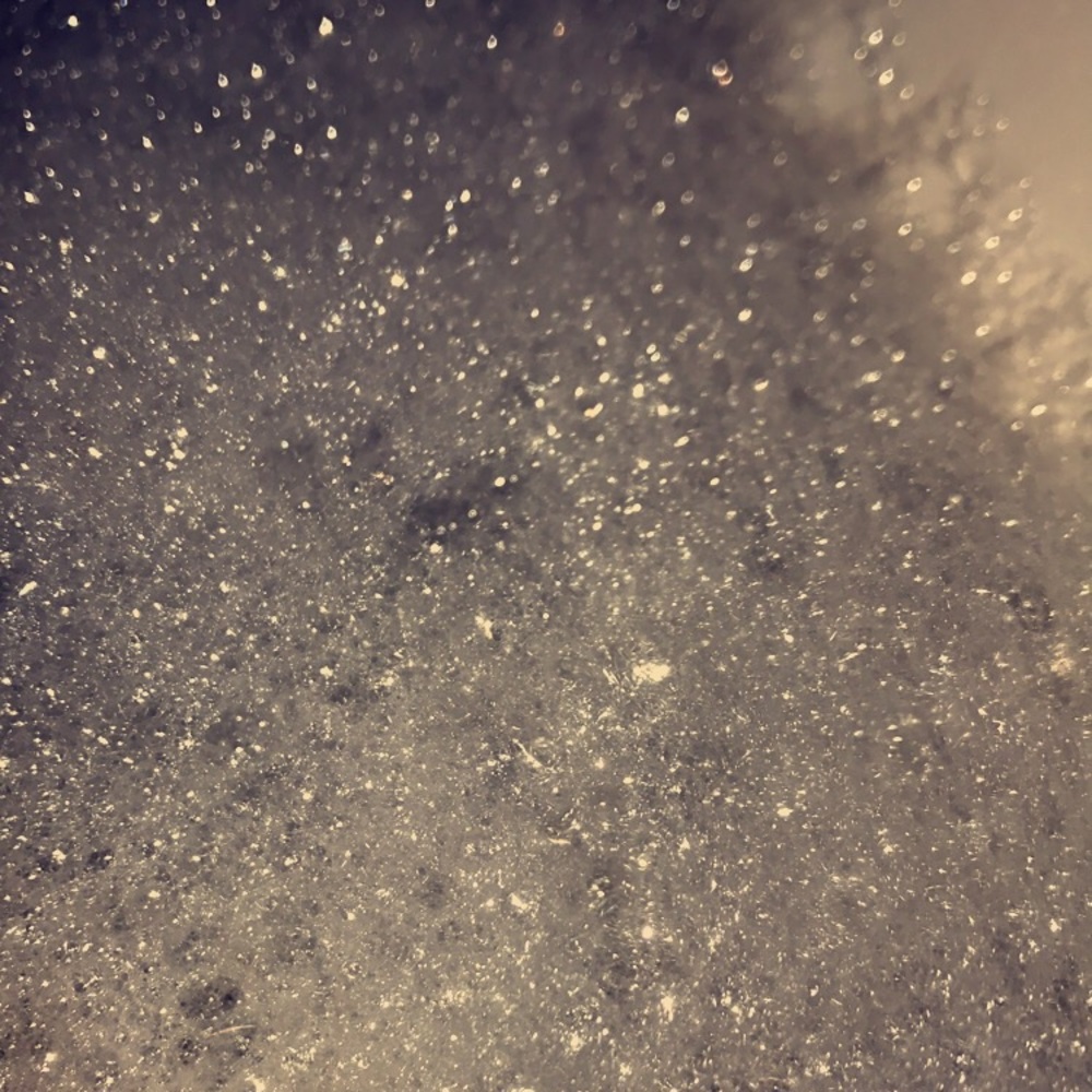 Meet your Posher, Maddy