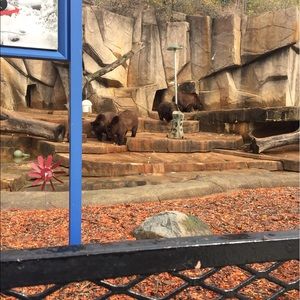 Meet your Posher, Markisha