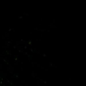 Meet your Posher, Ola