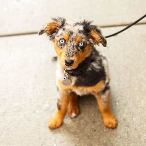 Meet your Posher, Alison