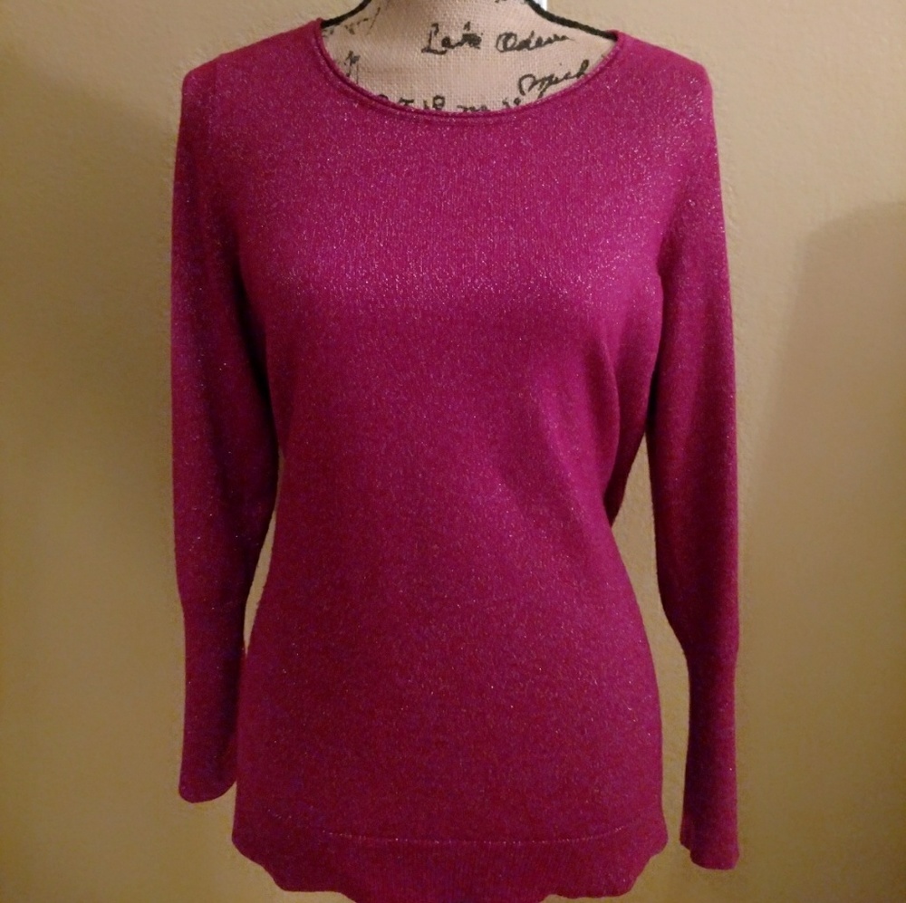 Pink Shiny Top (XLarge)