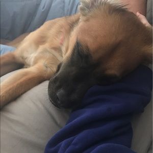 Meet your Posher, Anna