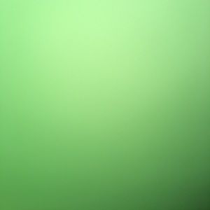 Meet your Posher, Aleena