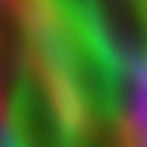 Meet your Posher, Nyleen