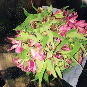 Meet your Posher, Markeisha