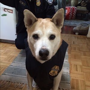 Meet your Posher, Jamie