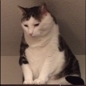 Meet your Posher, Bryan