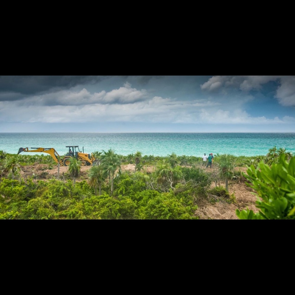 Meet your Posher, Dawanna