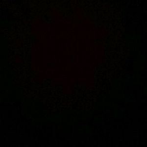 Meet your Posher, Ivan