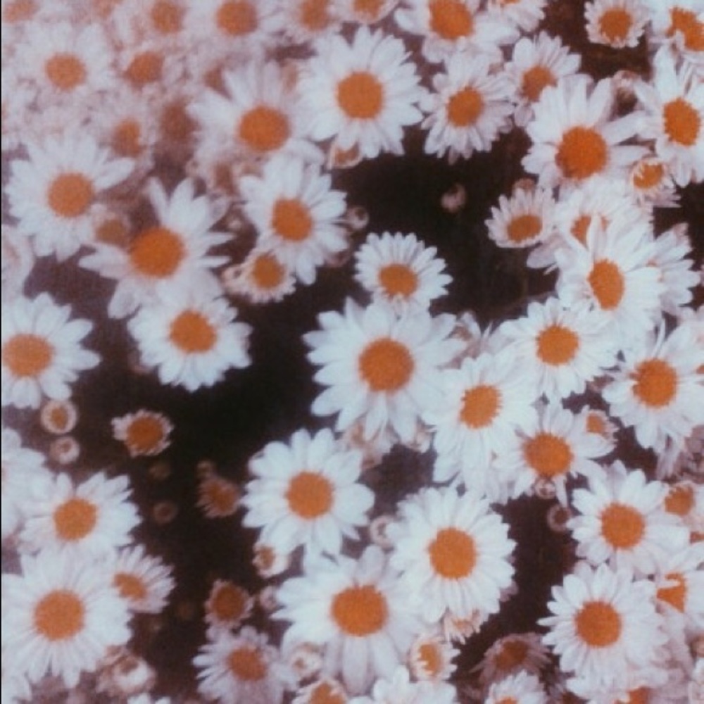 Meet your Posher, Corinne