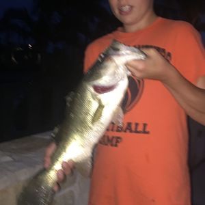 Meet your Posher, Jackson