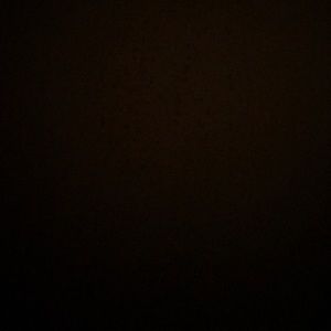 Meet your Posher, Cashen