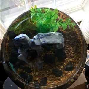 Meet your Posher, Adrian