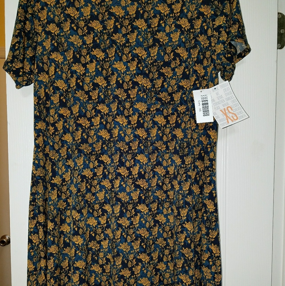 Lularoe Carly xs brand new with tags rose print
