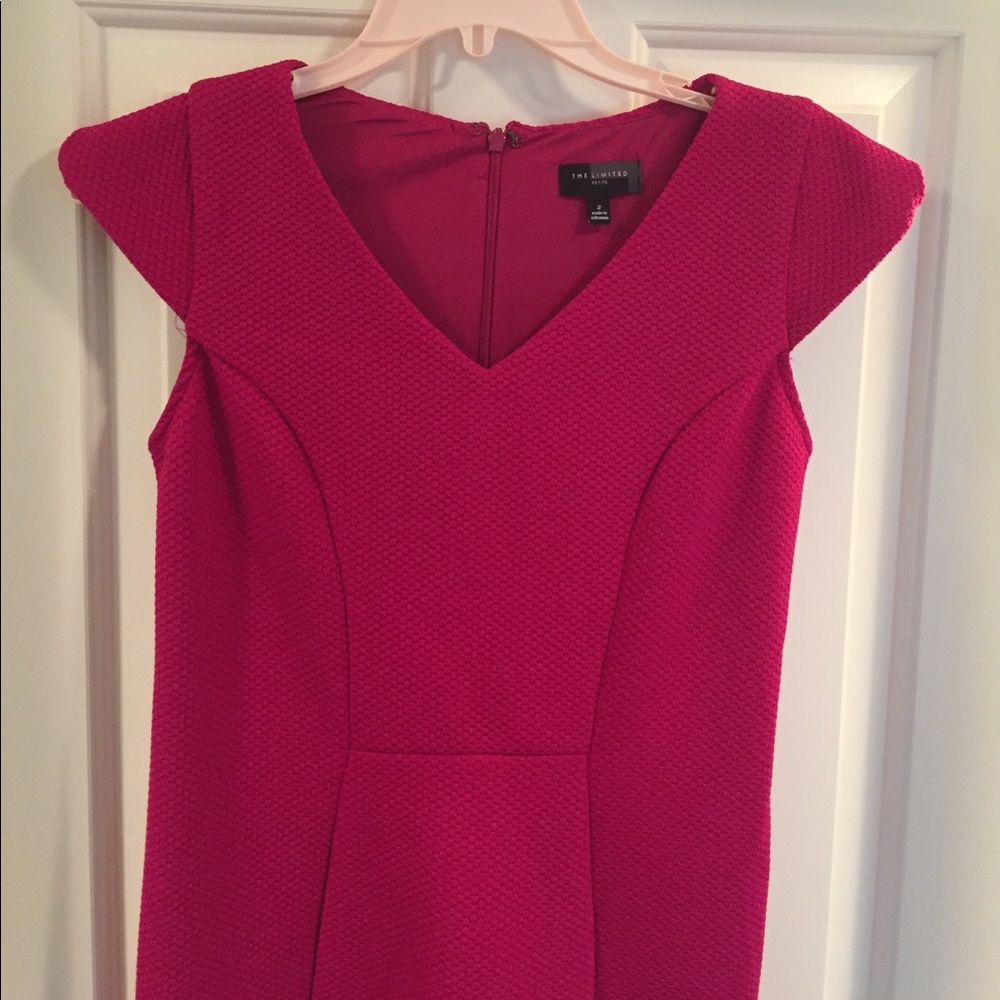 Size 2 The Limited pink dress