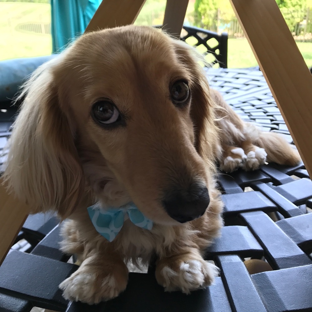 This is my best side