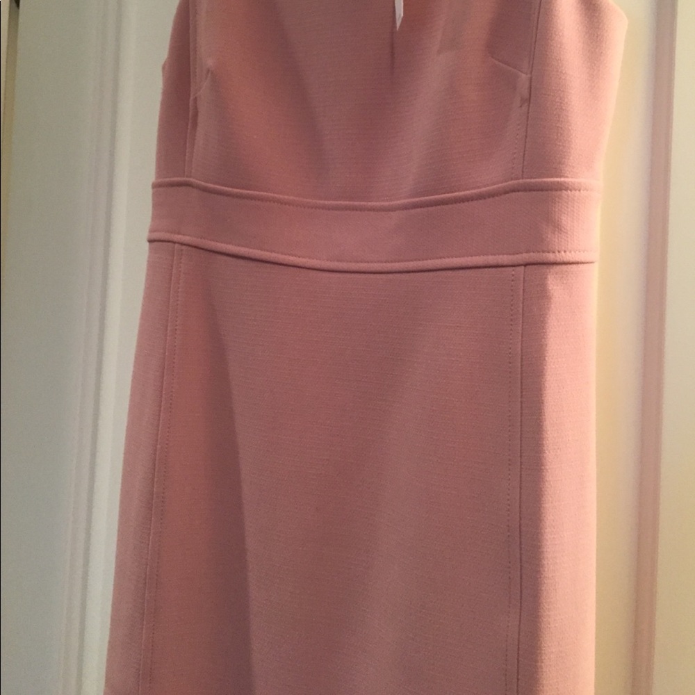 NWT Size 2 Ann Taylor pink dress - Picture 4 of 5