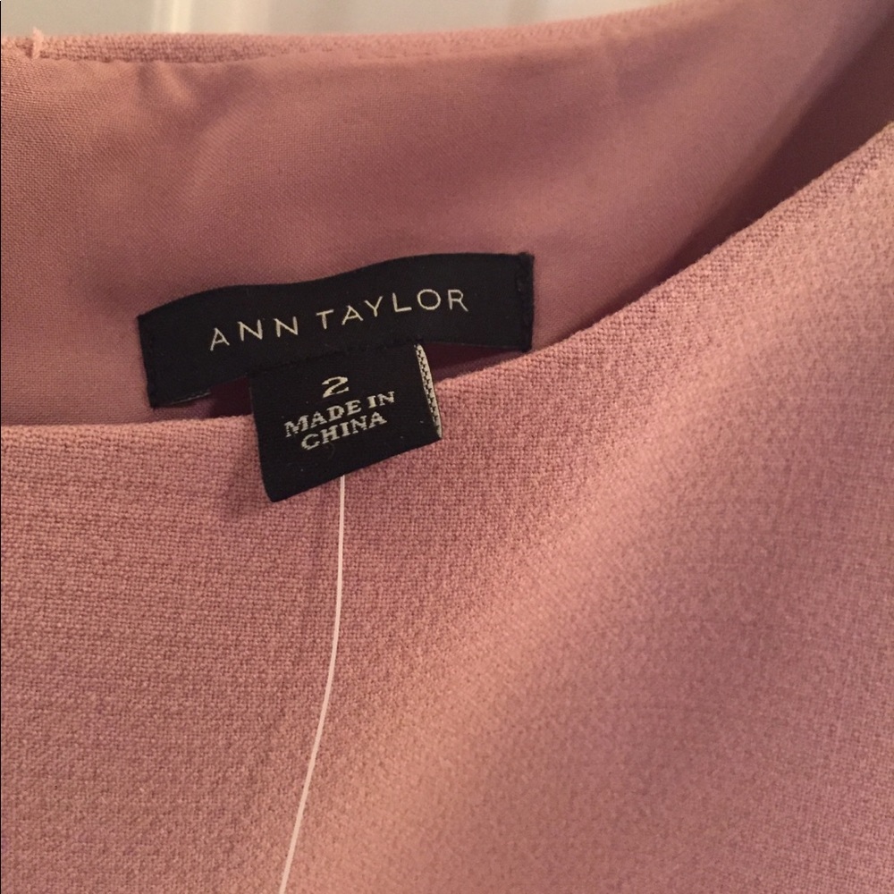 NWT Size 2 Ann Taylor pink dress - Picture 5 of 5
