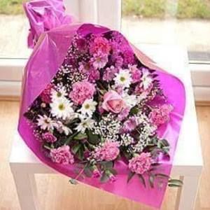 Meet your Posher, Carolyn