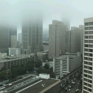 Meet your Posher, Monique