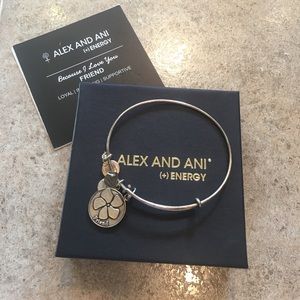 Alex and Ani (+) Energy bracelet