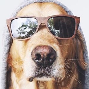 Meet your Posher, Jacob