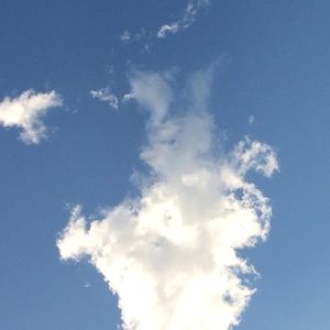 Meet your Posher, Karol