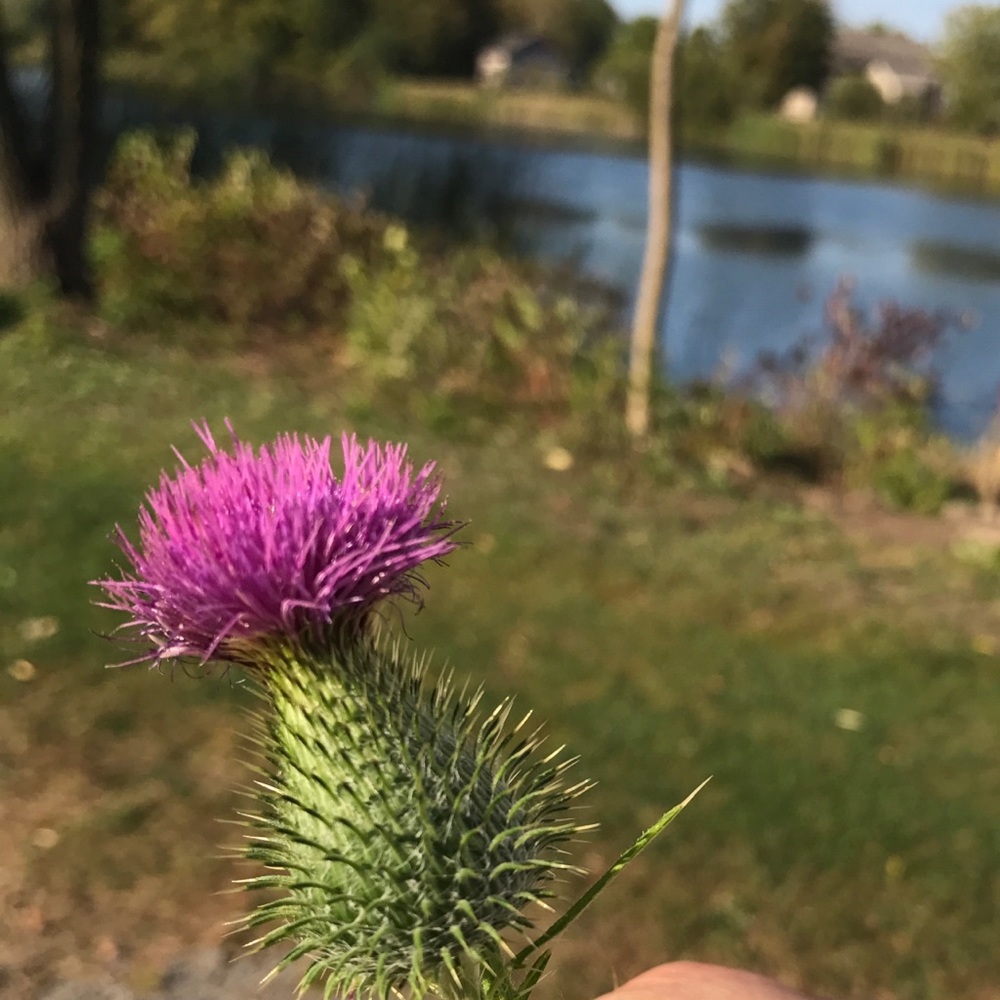 Meet your Posher, Kelly