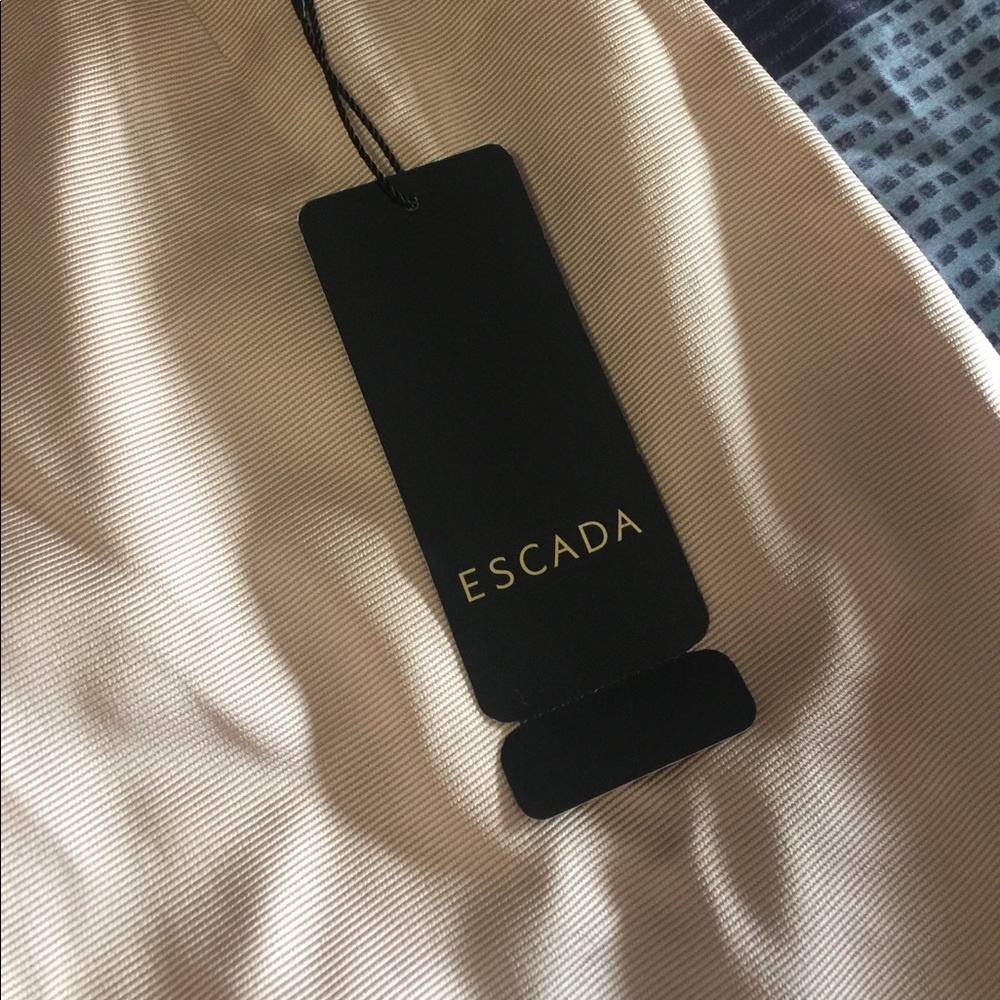 Beautiful Escada pencil Skirt NWT pink nude - Picture 3 of 4