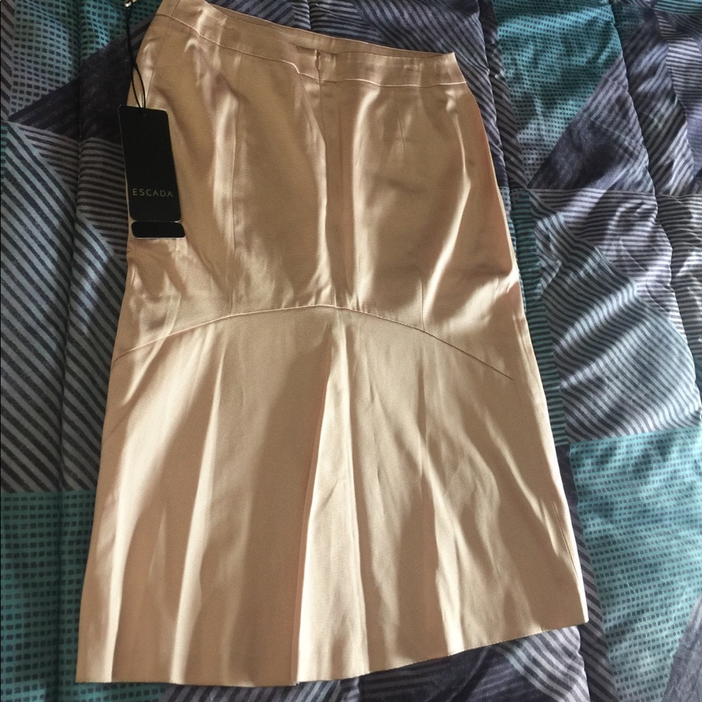 Beautiful Escada pencil Skirt NWT pink nude - Picture 4 of 4