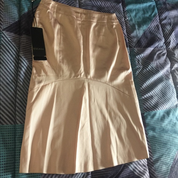 Beautiful Escada pencil Skirt NWT pink nude - Picture 4 of 4
