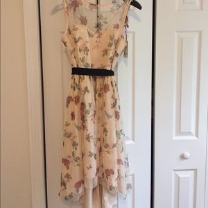 LC collection dress NWT