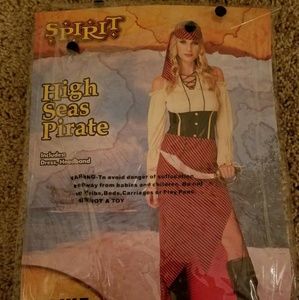 Women's Pirate Costume