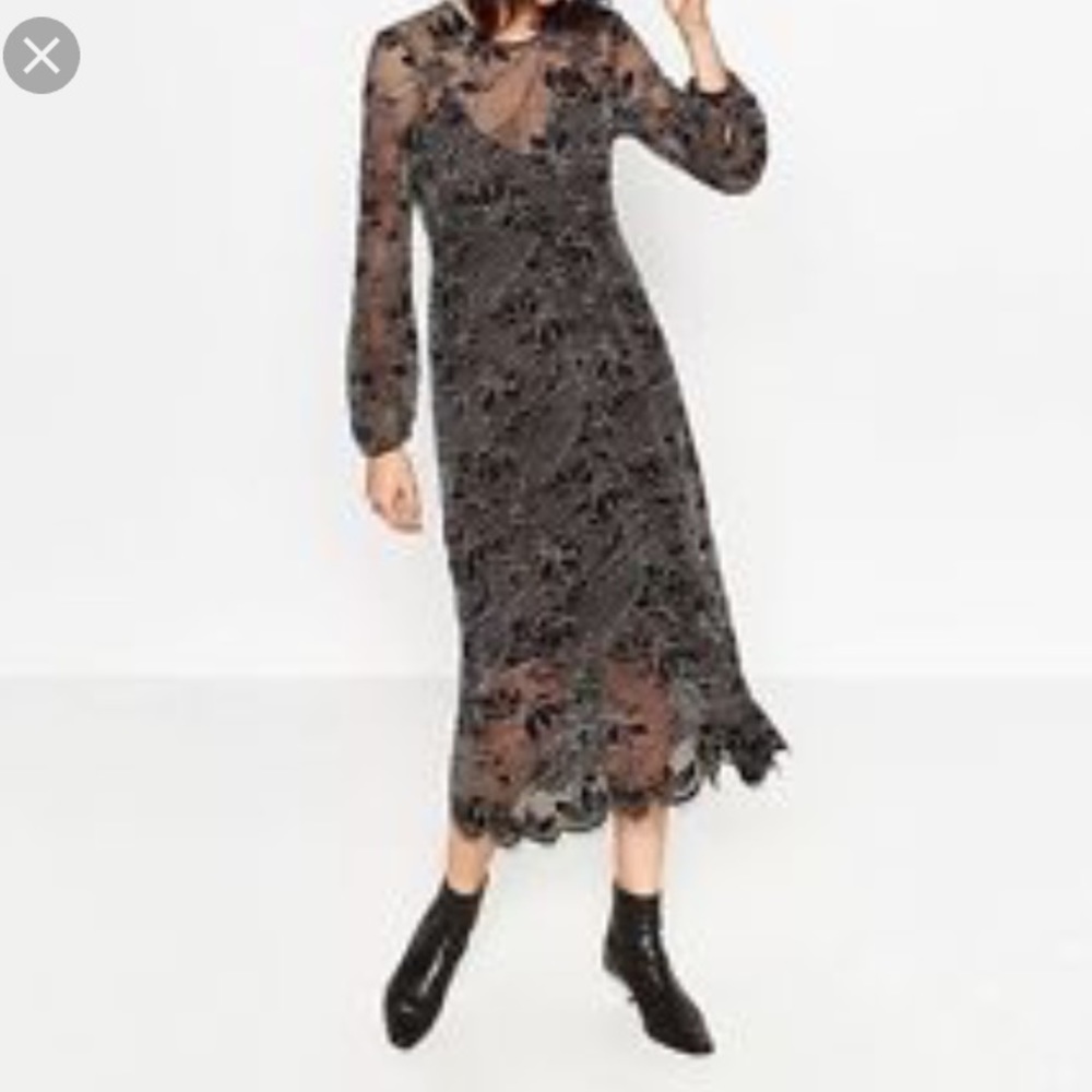 Zara midi black and white lace dress