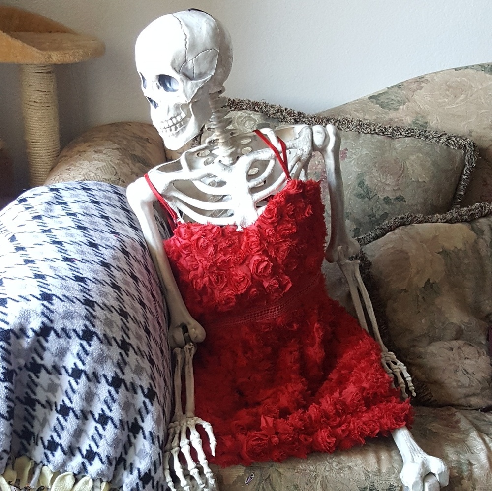 Red Roses Homecoming Dress