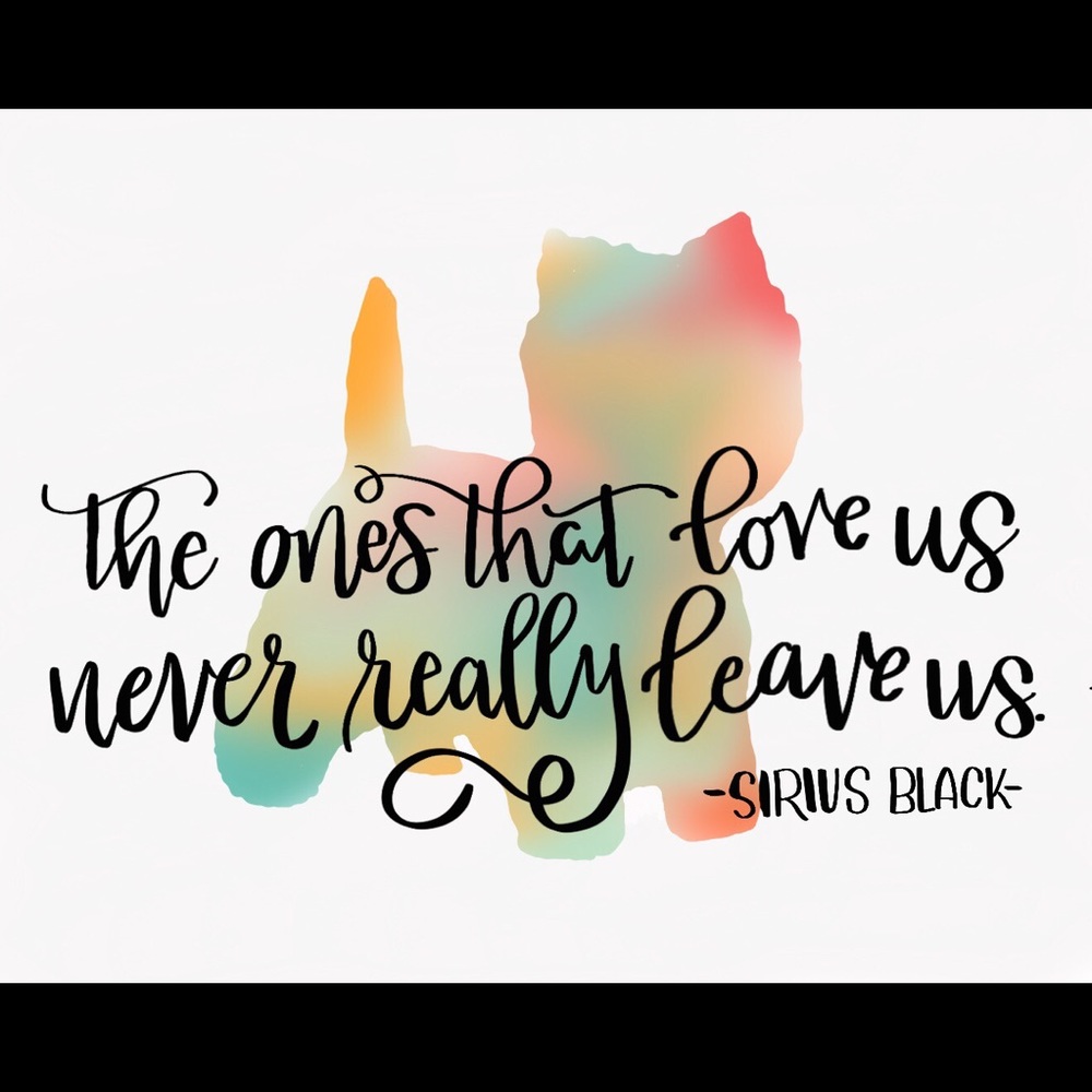 Meet your Posher, Cendey