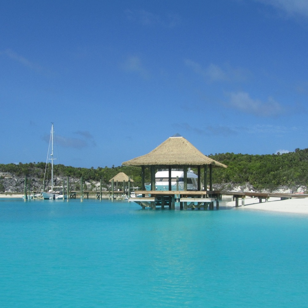 Meet your Posher, Trisha