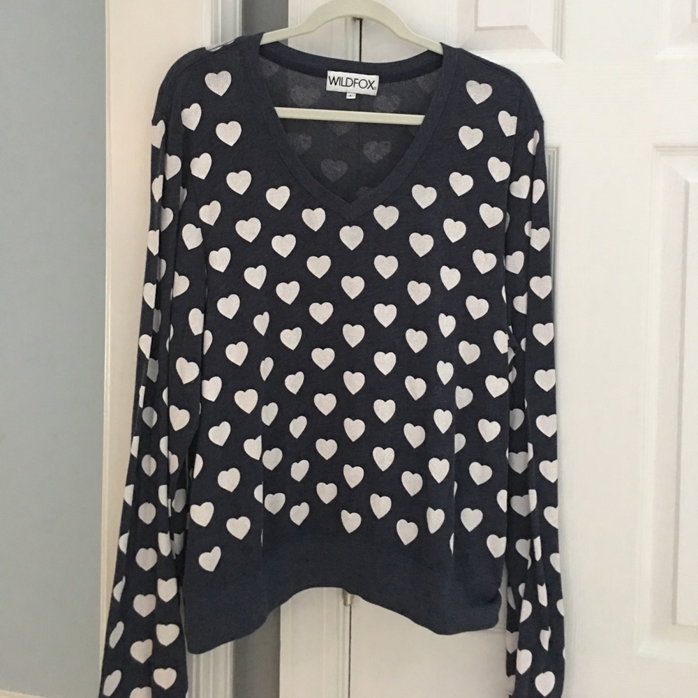 WildFox V Neck Sweater