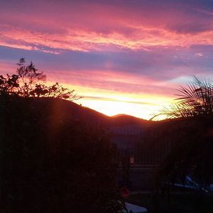 Meet your Posher, Maya